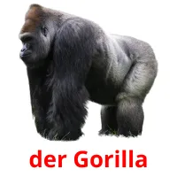 der Gorilla Tarjetas didacticas