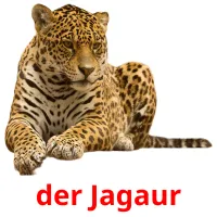 der Jagaur Tarjetas didacticas