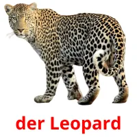 der Leopard Tarjetas didacticas