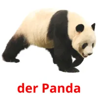 der Panda Tarjetas didacticas