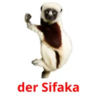 der Sifaka Tarjetas didacticas