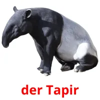 der Tapir Tarjetas didacticas