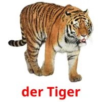 der Tiger Tarjetas didacticas