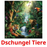 Dschungel Tiere Tarjetas didacticas