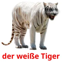 der weiße Tiger Tarjetas didacticas