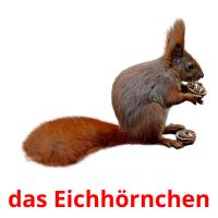 das Eichhörnchen card for translate