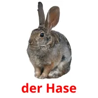 der Hase cartões com imagens