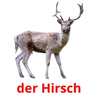 der Hirsch cartões com imagens