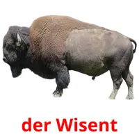 der Wisent cartões com imagens