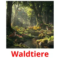 Waldtiere cartões com imagens