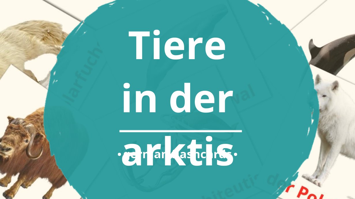 14 Free Arctic Animals Flashcards In German Pdf Files