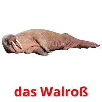 das Walroß Tarjetas didacticas