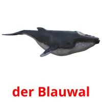 der Blauwal Tarjetas didacticas