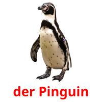 der Pinguin picture flashcards