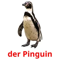 der Pinguin Tarjetas didacticas