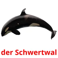 der Schwertwal Tarjetas didacticas