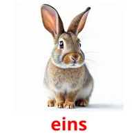 eins Bildkarteikarten