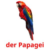 der Papagei card for translate