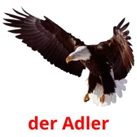 der Adler cartões com imagens