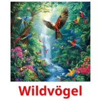 Wildvögel cartões com imagens