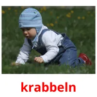 krabbeln Bildkarteikarten