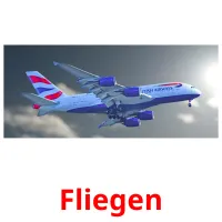 Fliegen flashcards illustrate