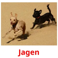 Jagen flashcards illustrate