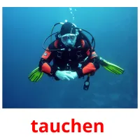 tauchen  flashcards illustrate