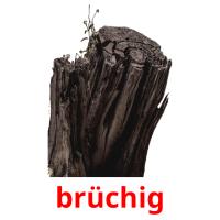 brüchig picture flashcards