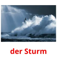 der Sturm cartes flash