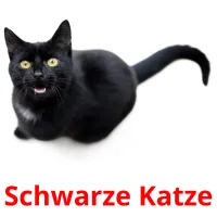 Schwarze Katze ansichtkaarten