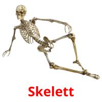 Skelett card for translate