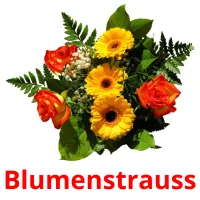 Blumenstrauss flashcards illustrate