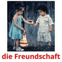 die Freundschaft flashcards illustrate