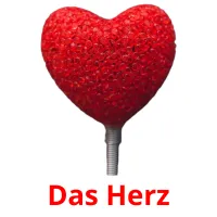 Das Herz flashcards illustrate