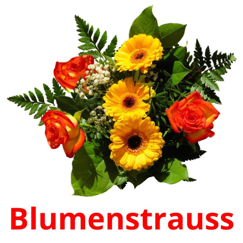 Blumenstrauss picture flashcards