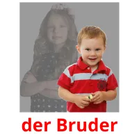 der Bruder Bildkarteikarten