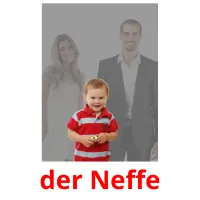 der Neffe Bildkarteikarten