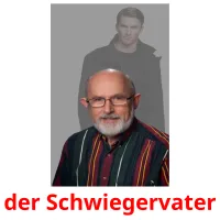 der Schwiegervater Bildkarteikarten