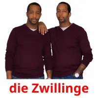 die Zwillinge Bildkarteikarten