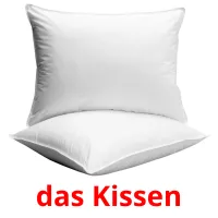 das Kissen Bildkarteikarten