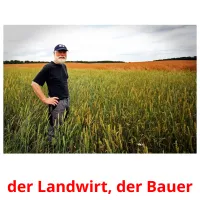 der Landwirt, der Bauer flashcards illustrate