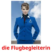 die Flugbegleiterin picture flashcards