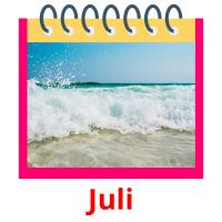 Juli picture flashcards