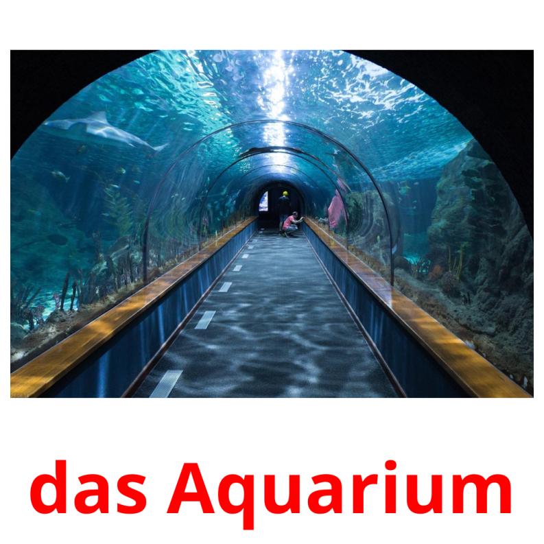 das aquarium picture flashcards