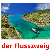 der Flusszweig cartões com imagens