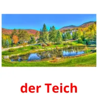 der Teich cartões com imagens