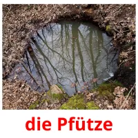 die Pfütze cartões com imagens