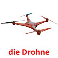 die Drohne card for translate
