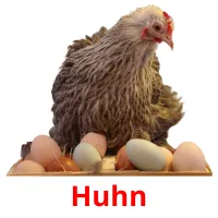 Huhn cartões com imagens